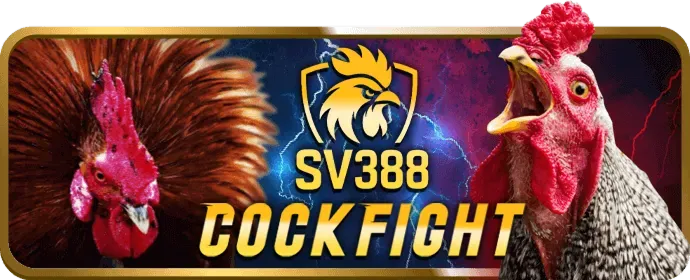 Cá cược quần vợt với các giải Grand Slam